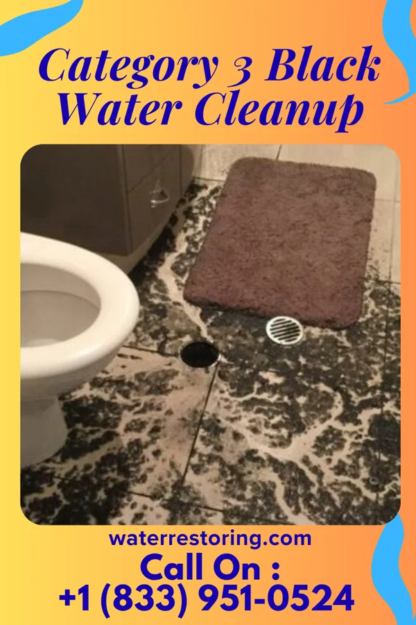 Category 3 Black Water Cleanup in Takoma Park, MD