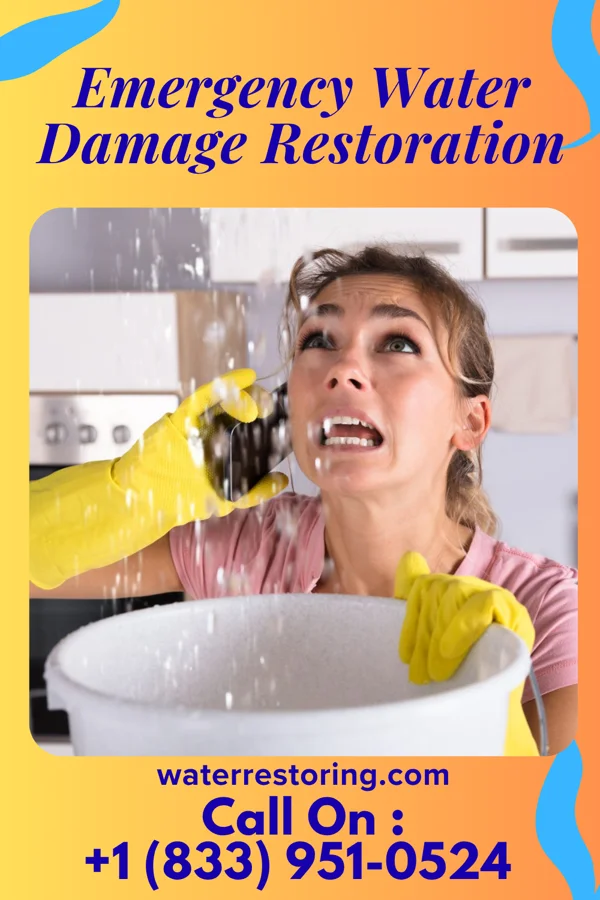 Emergency Water Damage Restoration in Takoma Park, MD