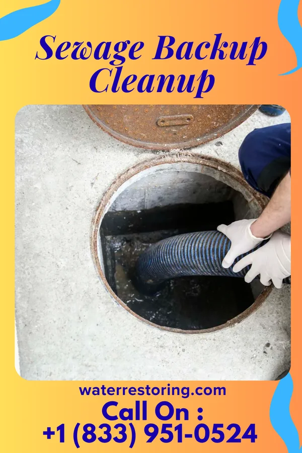Sewage Backup Cleanup in Takoma Park, MD
