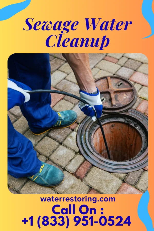 Sewage Water Cleanup in Takoma Park, MD